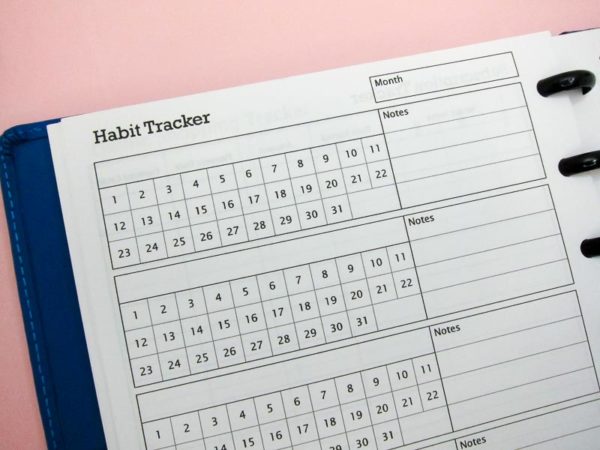 Habit Tracker Discs Insert