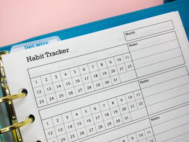 Habit Tracker Printable Insert