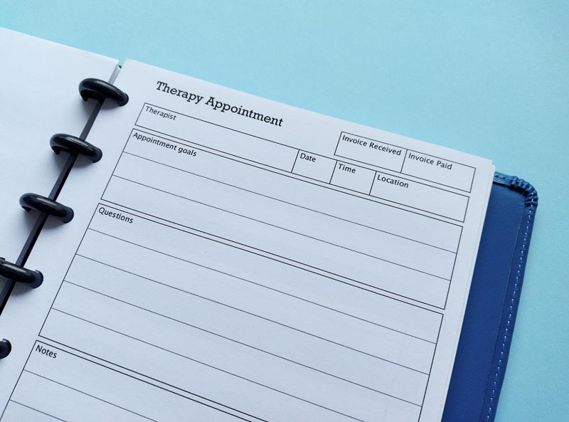 Therapy appointment Insert for disc planners