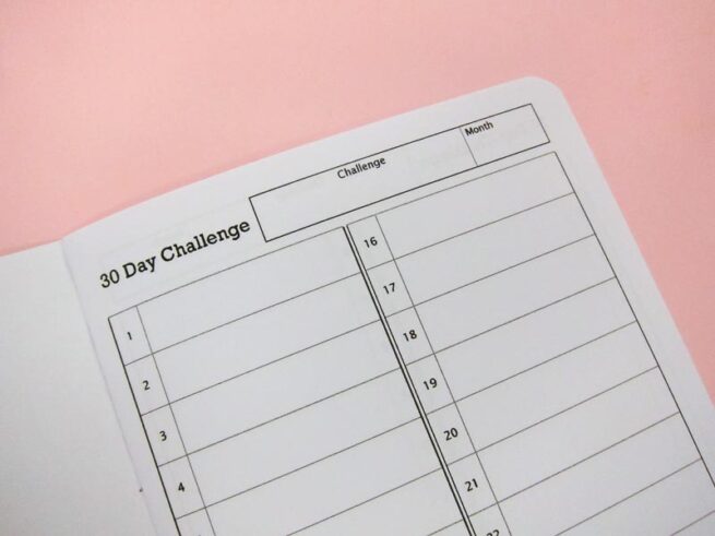 30 Day Challenge Notebook