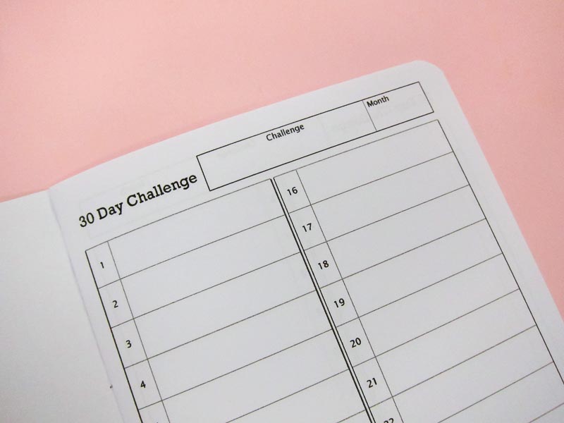 30 Day Challenge Notebook
