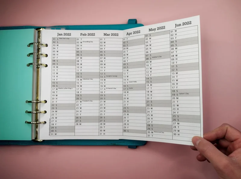 5 Year at a glance calendar printable ( 2025 - 2029 )